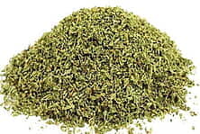 Oregano - Origanum vulgare